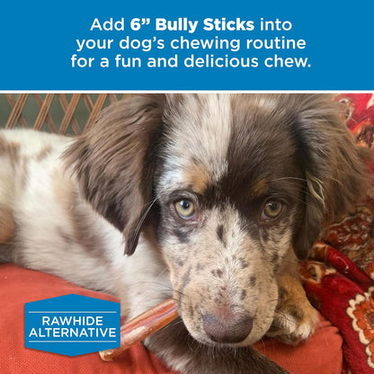 Best Bully Sticks 6 Inch Bully Sticks for Dogs - 50 Count (Pack of 1) - Natural, Easily Digestible, 100% Grass-Fed Beef, Grain and Rawhide Free
