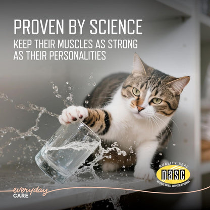 URSOLYXTM Soft Chews for Cats | Muscle Health Support for Senior, Active or Recovering Cats | 60 Count 2- Month Supply