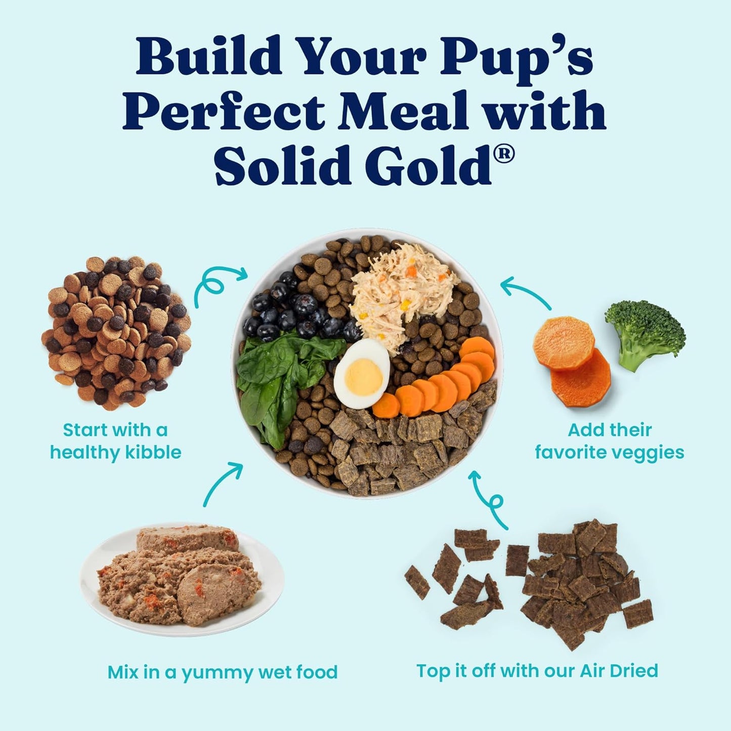 Solid Gold Wet Dog Food Variety Pack for Picky Eaters - Fit & Fabulous Chicken + Leaping Waters Chicken & Salmon Grain Free Canned Dog Food - Made with Real Protein for Sensitive Stomachs - 6 Pack