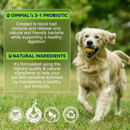 3-in-1 Probiotics for Dogs with Digestive Enzymes & Prebiotics – Supports Gut Health, Immune System & Diarrhea Relief – 60ml for Puppies & Adults