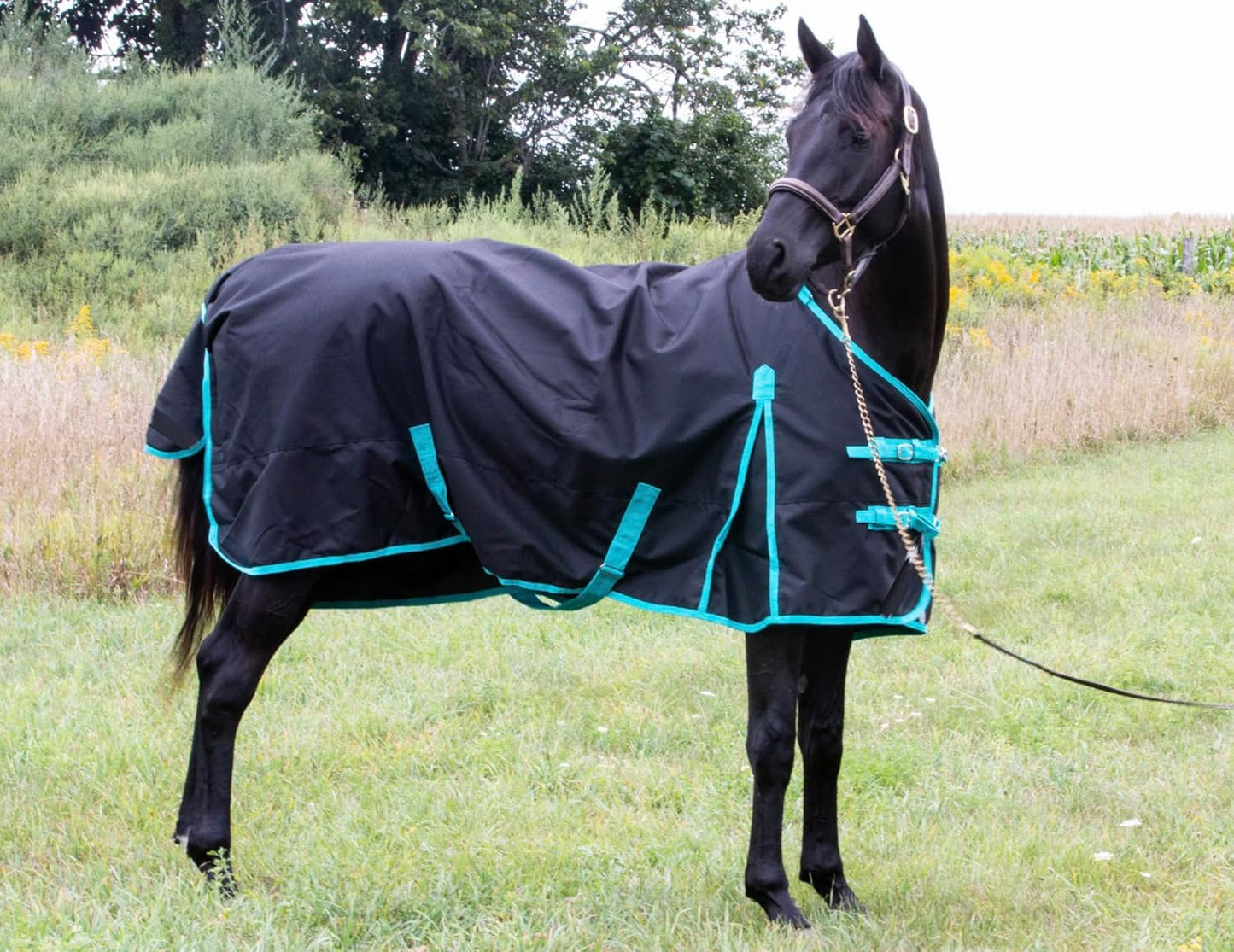 1200 Denier Horse RAIN Sheet (Waterproof/Breathable & Wind Proof Turnout Sheet) Horse Breathable RAINSHEET (Black-Turquoise, 78)