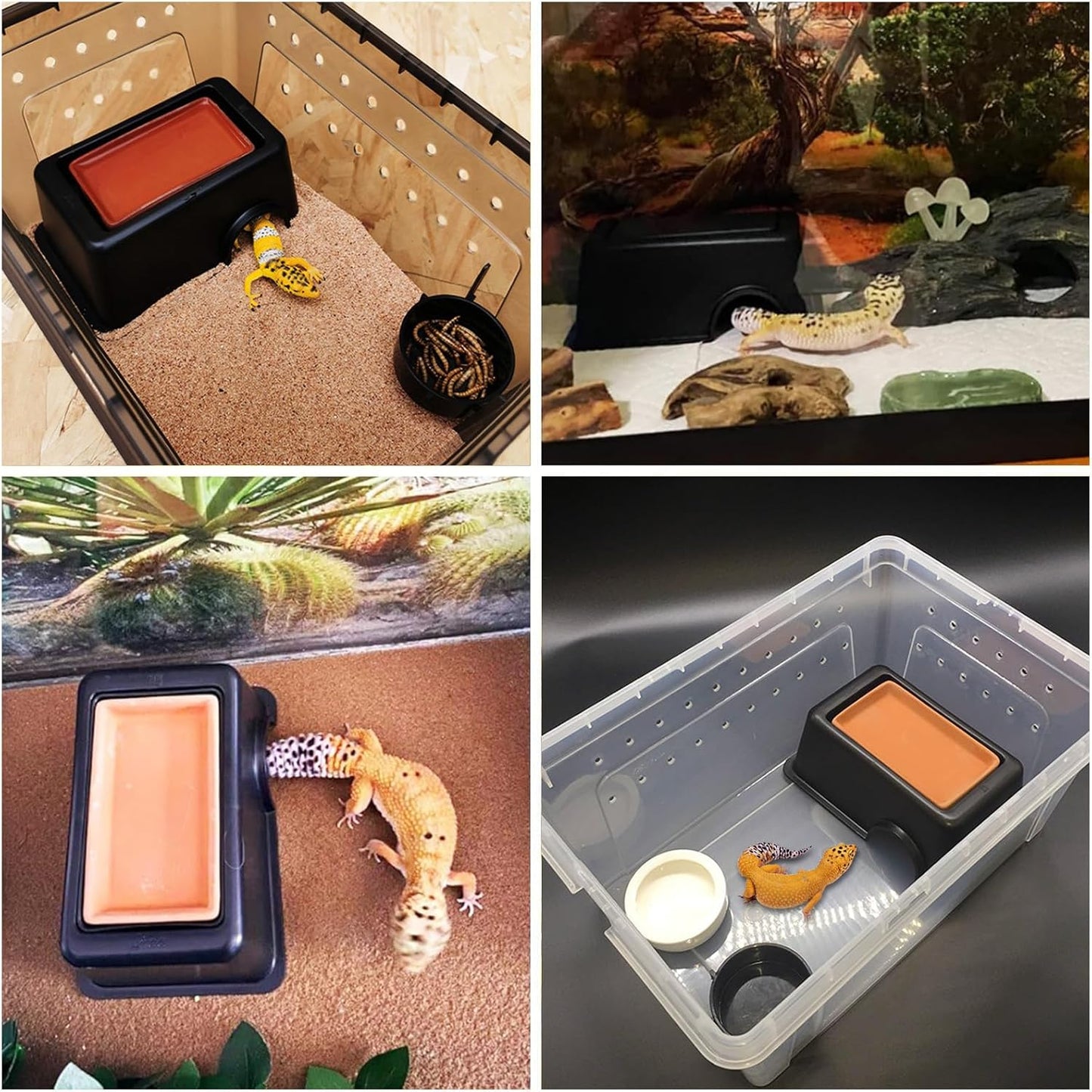 Hamiledyi Reptile Hideouts Natural Coconut Shells Hut Hermit Crab Climbing Toys and 4 Pcs Humid Hide for Leopard Gecko Moist Reptile Hide Box for Spider Snake Chameleon