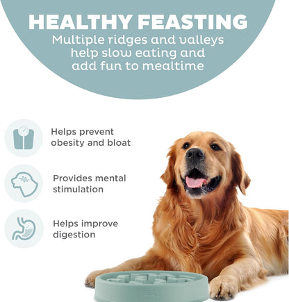 Outward Hound Large Slow Feeder Bowl, Puzzle Maze for Fast Eaters, Medium to Large Dogs, Helps Prevent Bloat & Aid Digestion, Holds 4 Cups Wet or Dry Food, Non-Slip, Made Without BPA, Sage