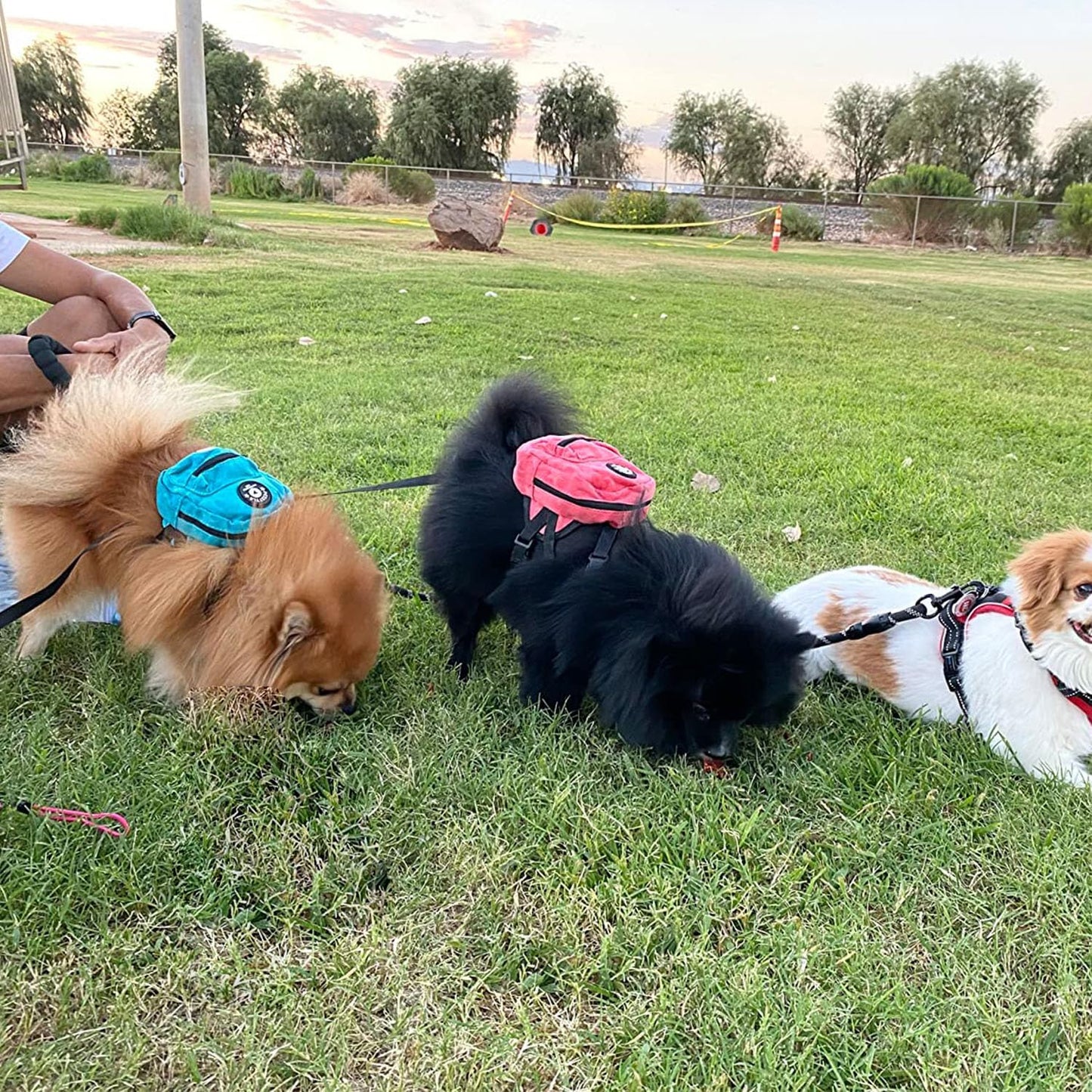 FLAdorepet Dog Backpack Harness with Leash, Dog Poop Bag Dispenser, Pet Self Carrier Adjustable Travel Hiking Walking Harness Backpack for Small Medium Dogs (L(Fit:10-15lb), Blue)