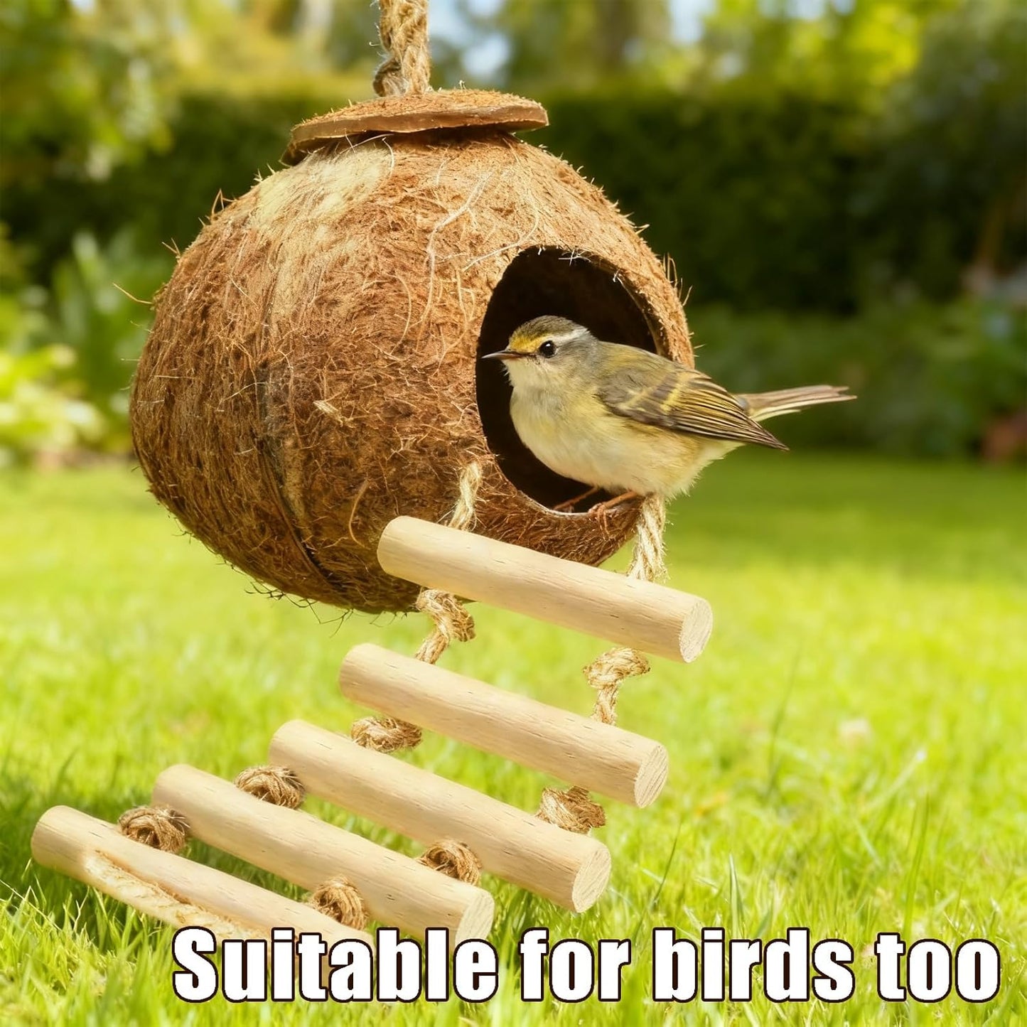 Gecko Tank Accessories Natural Coconut Shell Hut with Climbing Ladder & Suction Cup Hermit Crab Toys Reptile Hideout for Leopard Gecko Snake Lizard and Small Pets Habitat Decor