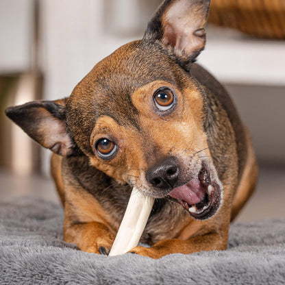 Pet Factory American Beefhide 3-3.5" Mini Rolls Dog Chew Treats - Natural Flavor, 14 Count/2 Pack