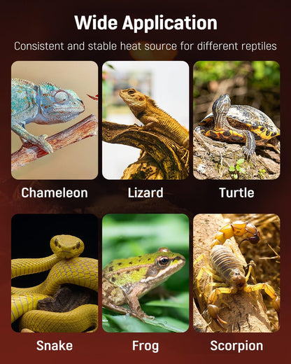 Pawfly 5 W Reptile Heat Pad 6 x 5.5 Inch Reptile Heating Pad Under Tank Terrarium Safe Fast Heating Mat Heat Mat for Turtles Frogs Snakes Lizards Geckos Hermit Crabs Spiders & Other Reptiles