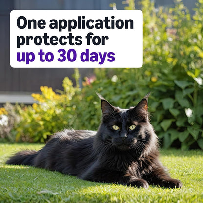 Amazon Basics PreventativeTopical Flea Treatment for Large Cats (Over 9 Pounds), 4 Count