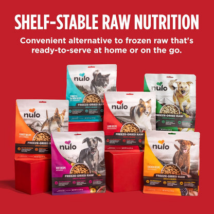 Nulo Freeze-Dried Raw Lamb Recipe with Raspberries Complete and Balanced Dry Dog Food Kibble, 18 Ounce Bag