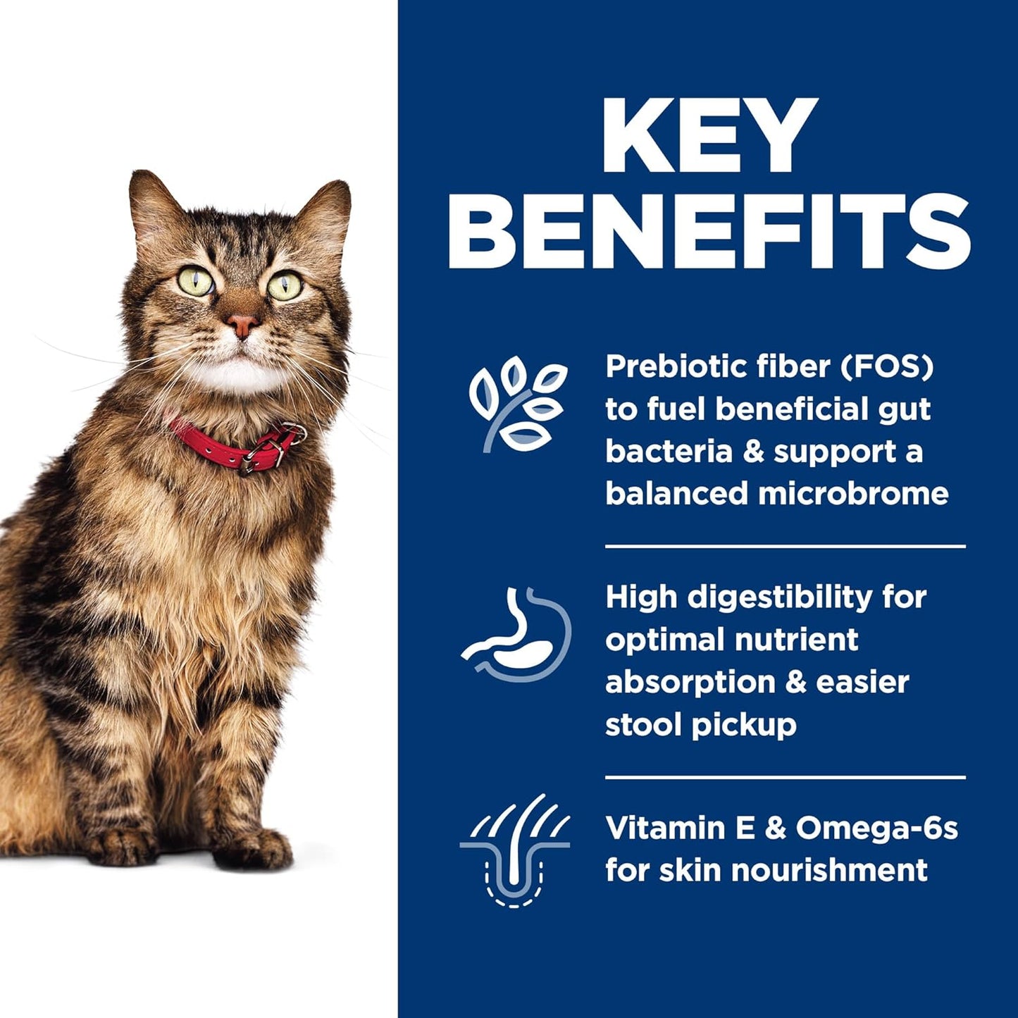 Hill's Science Diet Sensitive Stomach & Skin, Adult 1-6, Stomach & Skin Sensitivity Support, Dry Cat Food, Chicken & Rice, 7 lb Bag