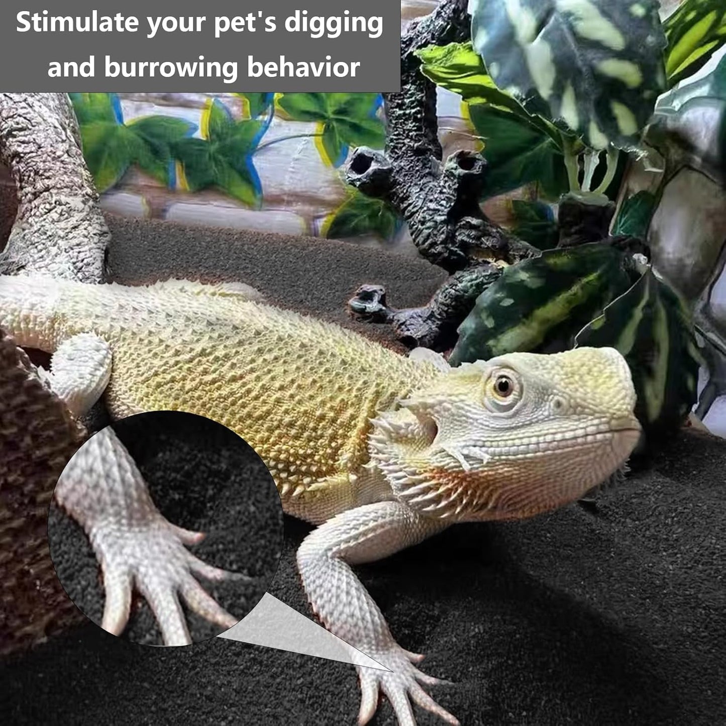 BNOSDM Reptile Sand Bearded Dragons Substrate Sands Lizard Terrarium Bedding Desert Blend for Snakes Geckos Chameleon Tortoise Frogs Scorpion Invertebrates Amphibian 2.2lb (Black)