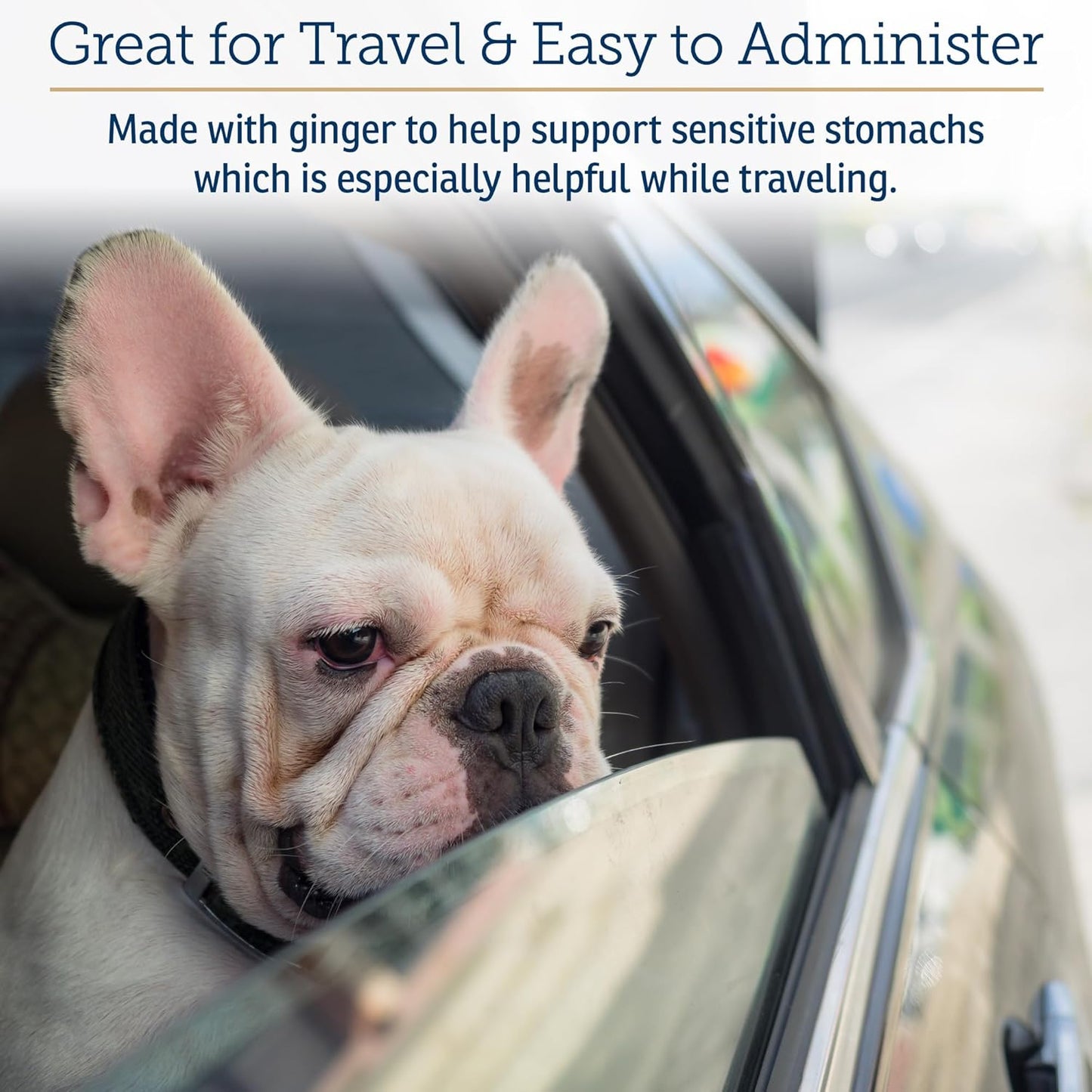 Rx Vitamins NutriCalm - Calming Care for Dogs with Valerian Root, Tryptophan, & Ashwagandha - Aids in Separation Anxiety Relief for Dogs and Stress Relief - Road Trip Essentials & Relaxant - 50ct