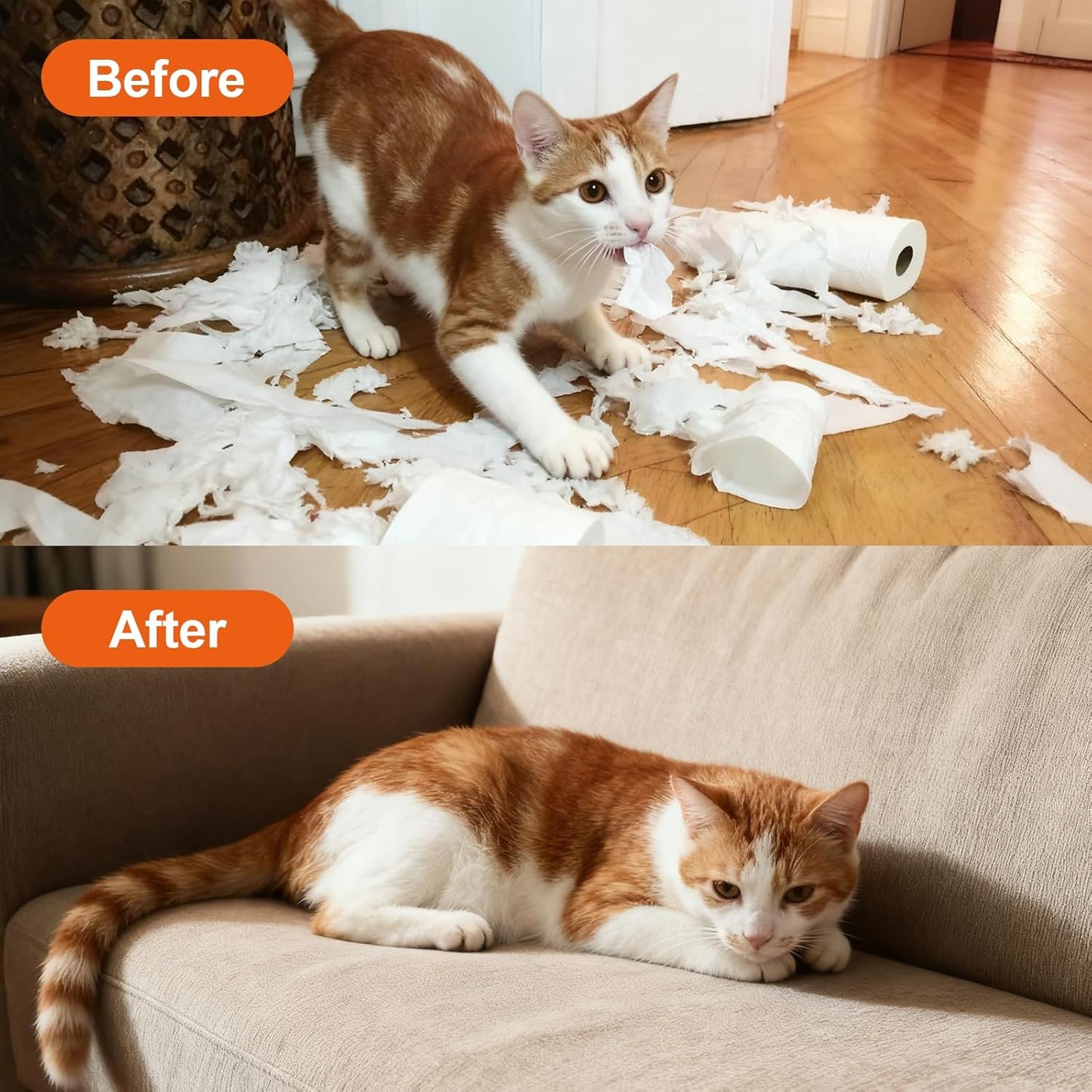 Cat Deterrent Spray, Natural Cat Repellent Spray with Citrus Scent, Indoor & Outdoor Traning Aid for Urine Marking & Anti-Scratch, Safe for Furniture, Plant & Rugs, (150ml/5.28oz)