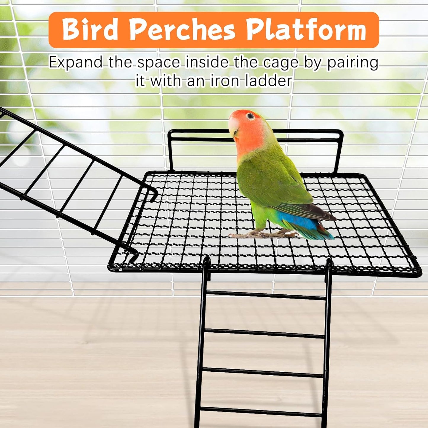 BNOSDM Extra Large Stainless Steel Grid Platform for Parakeet 4 PCS Bird Perches Platform Parrot Stand with Climbing Ladder Bird Cage Accessories for Small to Large Bird (Screw Style-XL)