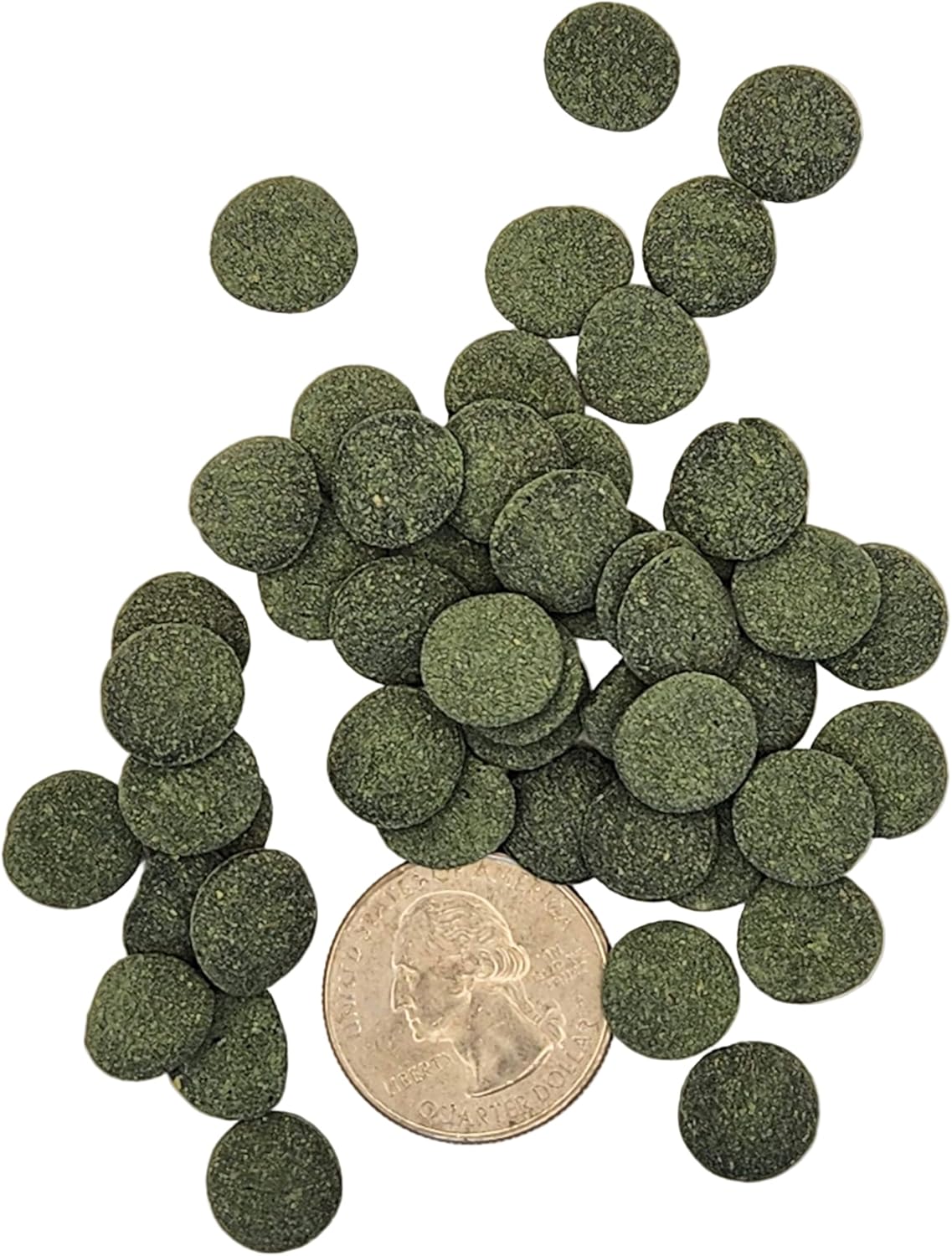 Plecoceramics Algae Wafers Universal Fish Food for Aquarium Fish, Turtles, Goldfish, Catfish - Spirulina Protein Wafers for Bottom Feeders (1.76 oz)