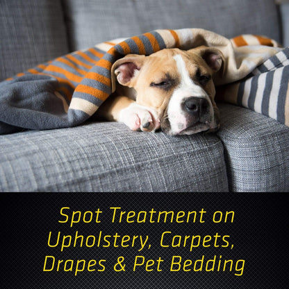 Black Flag Flea & Tick Killer for Upholstery & Pet Bedding Aerosol, 16-Ounce, 12-Pack