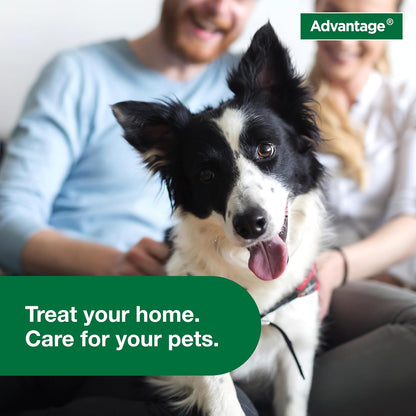 Advantage Household Fogger | Kills Fleas & Ticks | Flea Fogger for Home | 2 oz. Canisters (Pack of 3)