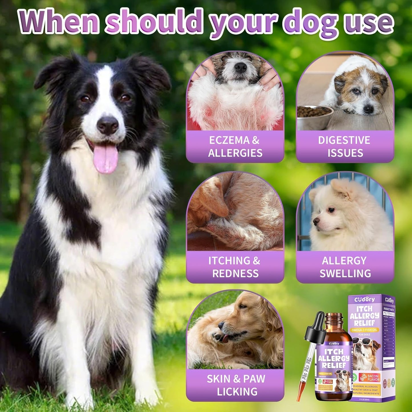 Cat Multivitamin, Crunchy & Creamy Cheese Chew Dog Allergy Relief Drops, Skin & Coat Support