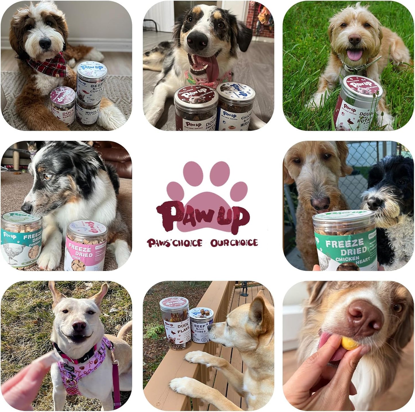 PAWUP Freeze Dried Duck Treats for Dogs, Freeze-Dried Raw Food Topper, High Protein, Gluten&Grain Free, Rawhide Free, 3.8 oz