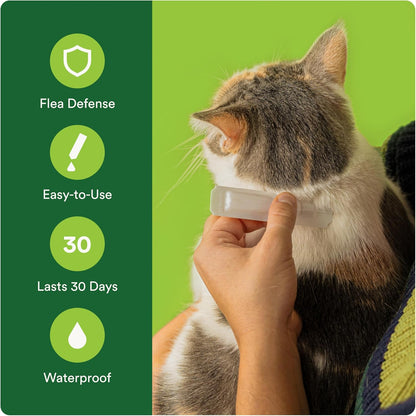 Advecta Plus Topical Large Cat Flea Treatment for Cats and Kittens, Flea Prevention and Control, Fast-Acting Waterproof Drops, 2-Month Supply