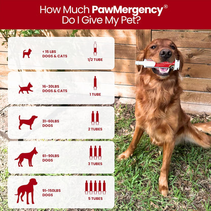 PawMergency – Activated Charcoal First Aid Kit Emergency Rescue 4 Pack for Dogs, Cats, Puppy & Pet Poison Kit, Camping Survival Remedy Essential, Oral Anti Diarrhea Digestive Absorb Toxins (30mL)