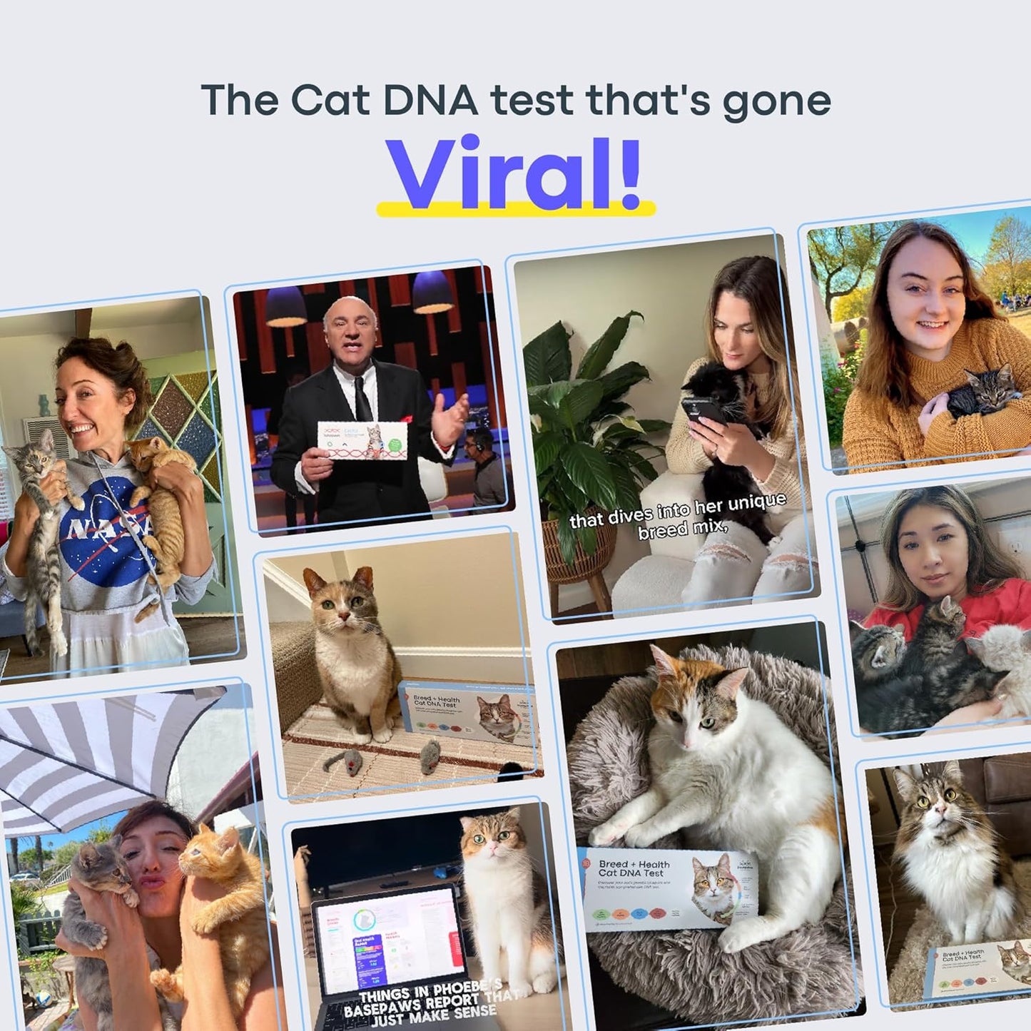 Basepaws Cat DNA Test Kit - Comprehensive Breed, Health and Dental Analysis Across 114 Traits for Accurate and Easy-to-Use Genetic Insights