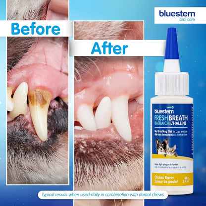 bluestemTM No Brush Dog Dental Gel - Dog Oral Gel to Freshen Breath, and Fights Plaque and Tartar - Brushless Toothpaste for Dogs