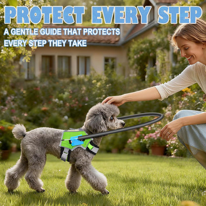 Halo Harness for Blind Dogs, Adjustable Safety Halo with Reflective Straps,Confidence Support Collar for Visually Impaired Pets,Blind Dog Navigation Aid (M)