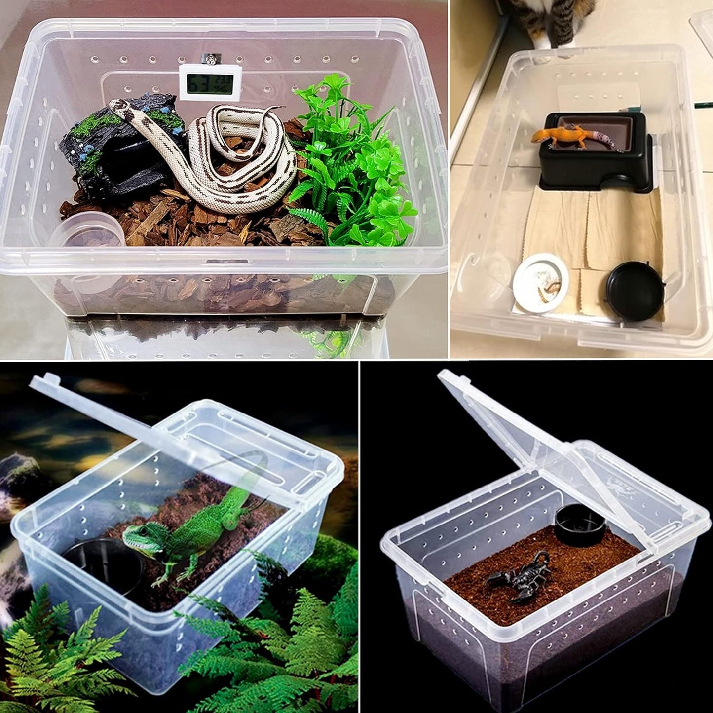 Hamiledyi 5 Pcs Reptile Plants Terrarium Hanging Fake Plant Leaves and Reptile Hide Box Gecko Hideout Cave with Sink Humidifier for Ball Python Bearded Dragon Chameleon Lizard