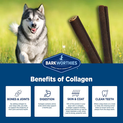 Barkworthies Plain Collagen Sticks - 12 Inch 6 Count (Pack of 1) - Long-Lasting, Single Ingredient