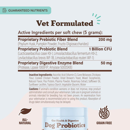 Natural Dog Company Gut Health & Canine Specific Probiotics Chews, 1 Daily Chew for All Dogs, Prebiotics & Digestive Enzymes for Digestion, Gas, Loose Stool, Immune System & Bowel Support