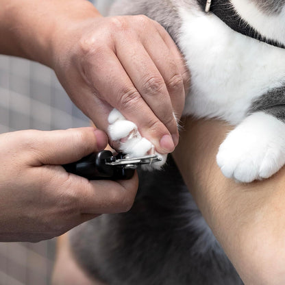 Tweezerman Small Nail Clippers for Dogs & Cats, Manual Professional Dog & Cat Nail Trimmer with Ergonomic Handle