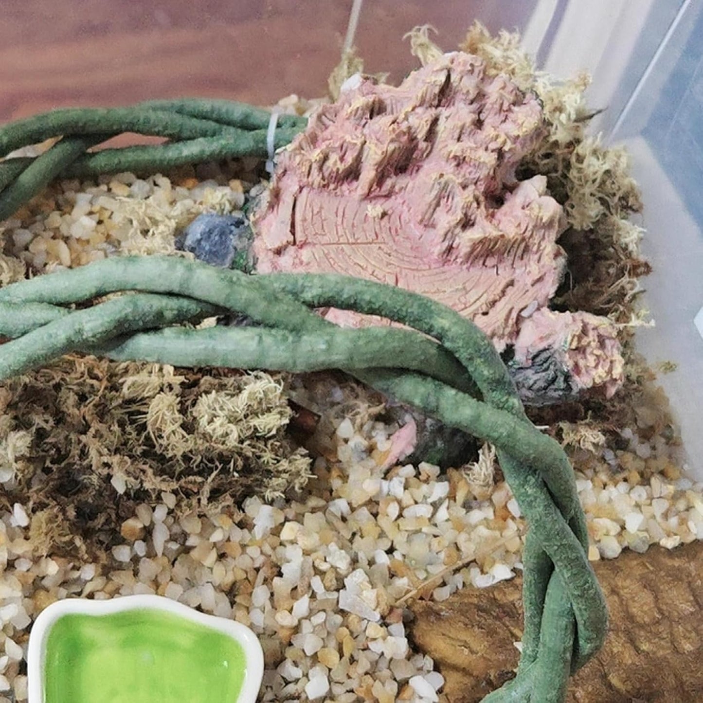 Reptile Vines, Flexible Snake Climbing Branch, Climber Chameleon Cage Vines Habitat Decor and Ball Python Terrarium Plants with Suction Cups for Chameleon Geckos Lizards Frogs