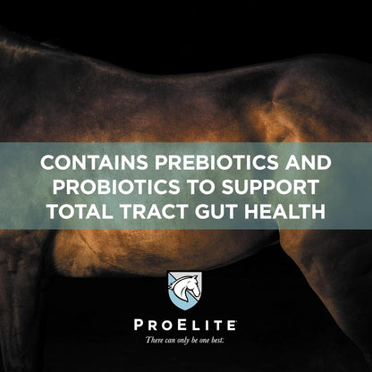 ProElite Gutbiome, Horse Probiotics Prebiotics & Postbiotics, 3 lbs