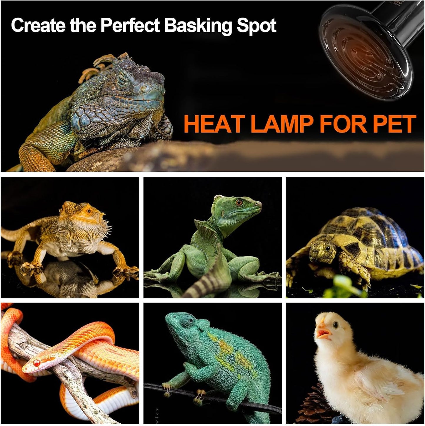 BNOSDM 2 Pack 50W Non-Light Emitting Ceramic Heat Emitter, Reptile Heat Lamp Bulbs, Brooder Coop Heater Lamp Bulb for Amphibian Reptiles Lizard Turtle Chicken