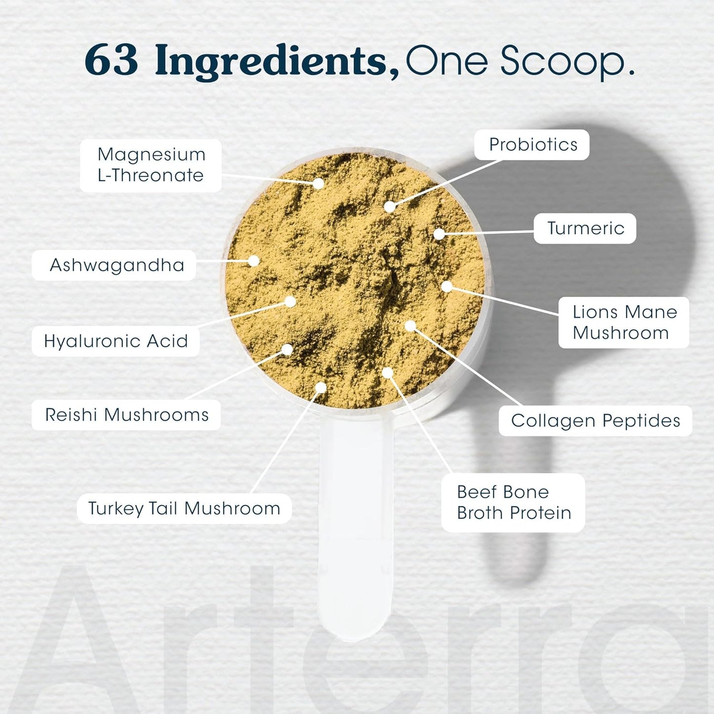 Senior Dog Powder Supplement & Food Topper – 63 Ingredients for Joint, Gut, Immune & Brain Health – Daily Longevity Multivitamin with Glucosamine, Probiotics, and Fish Oil | 30 Scoops