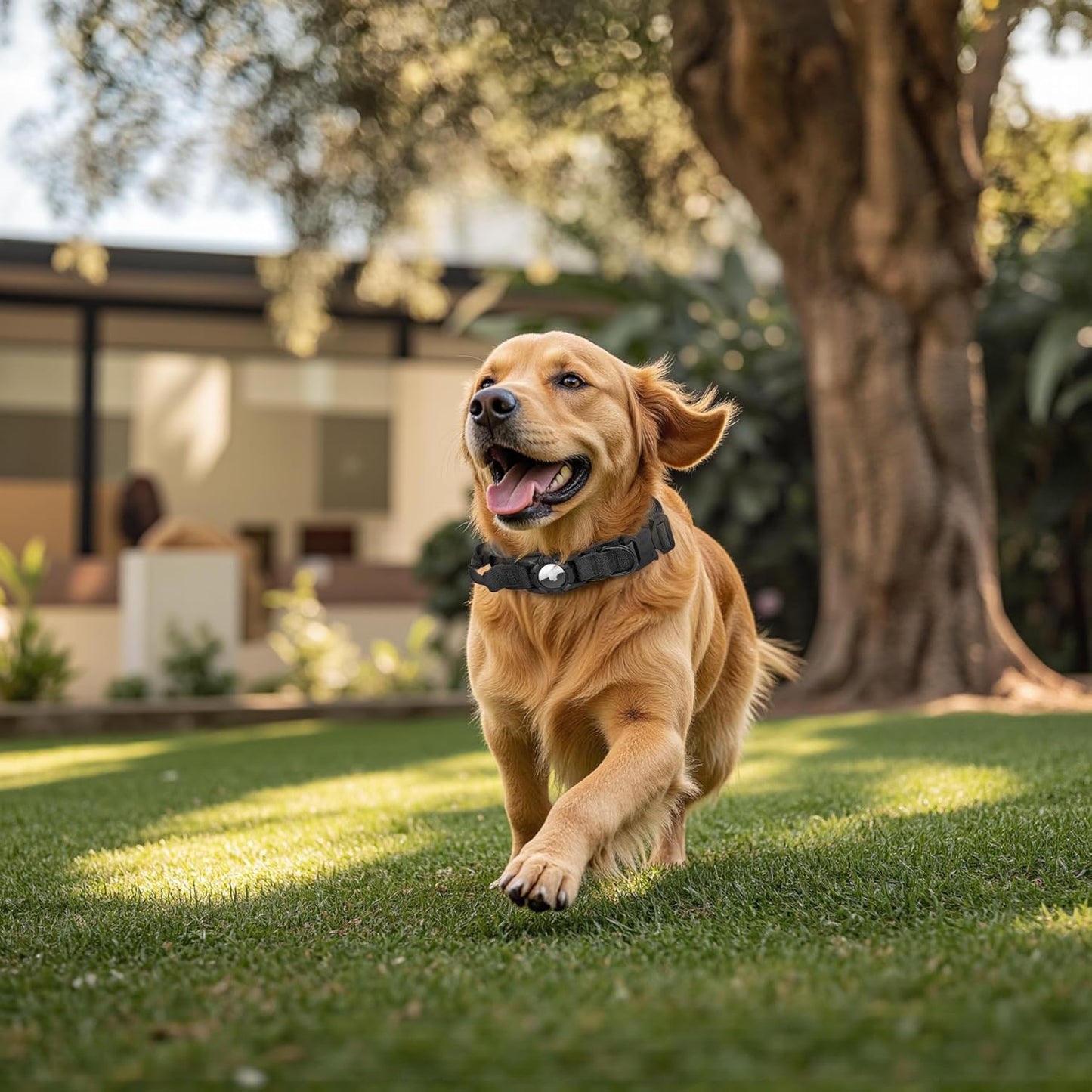 Tactical AirTag Dog Collar Leash Set - Heavy Duty, Adjustable GPS Collar Compatible with Apple AirTag, with Holder & Control Handle for Medium/Large Dogs [ Black, L ]