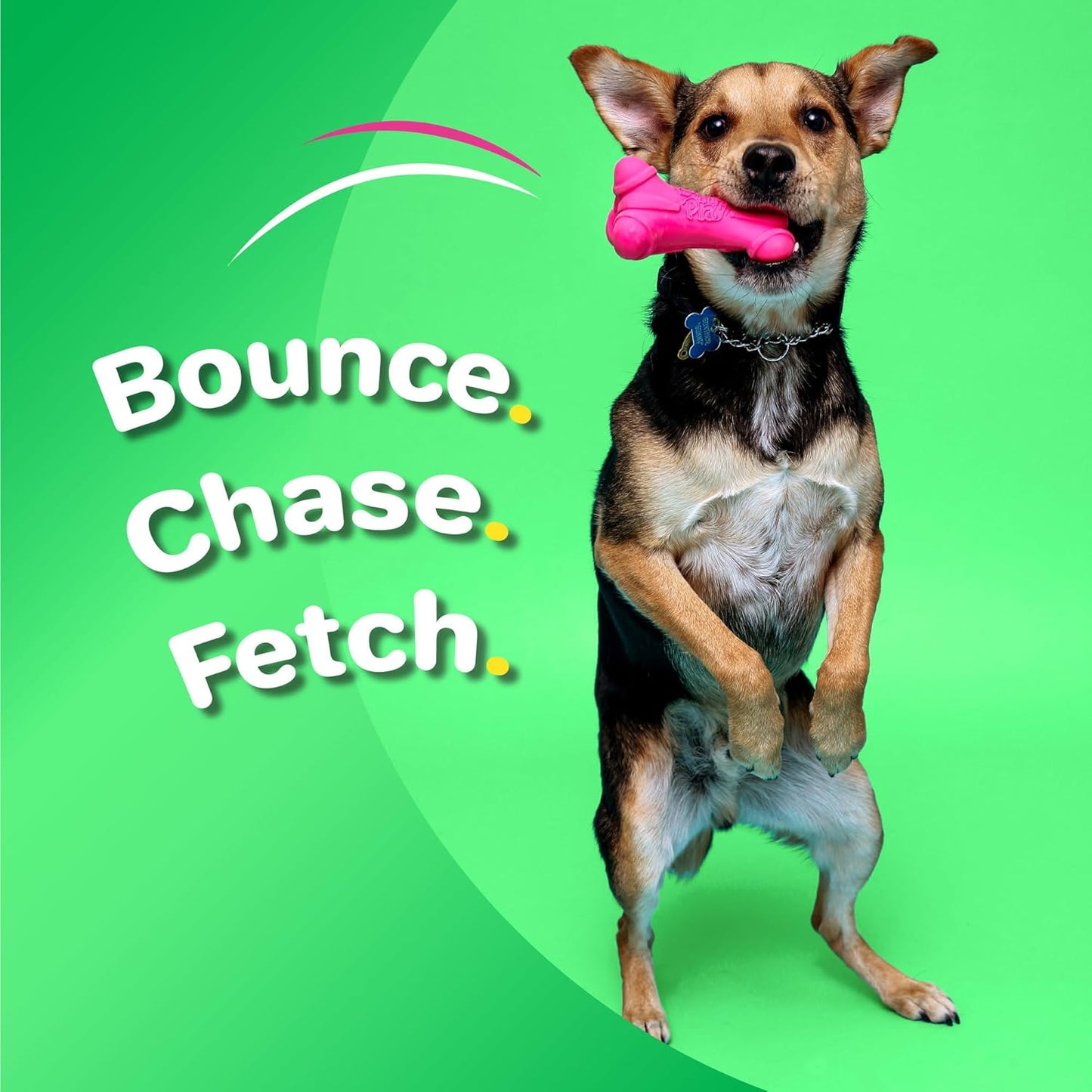 Hartz DuraPlay Bone Squeaky Latex Dog Toy for Medium Breeds, 3 Pack