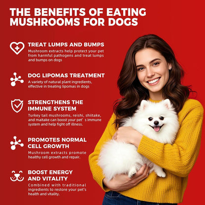 Dog Lumps and Bumps Supplement, Lipoma Treatment for Dogs - Immune Support Chews with Turkey Tail Mushroom, Reishi, Shiitake, Maitake, Curcumin & CoQ10 - Veterinarian formulated - 150 Chews