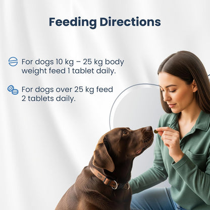 Bio PetActive Synbioflora Digestive Support for Medium and Large Breed Dogs | Probiotics & Prebiotics Supplement | Supports Digestion, Gut & Stomach Health | Helps with Diarrhea and Gas | 60 Chews