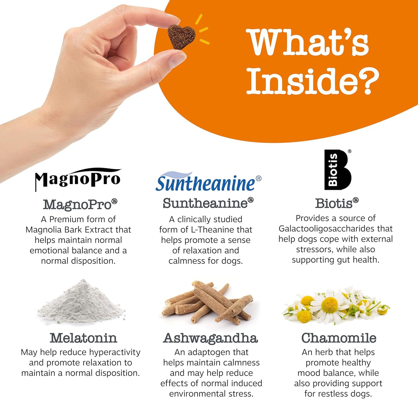 Zesty Paws Vet Strength Calming Chews for Dogs - for Everyday Stress, Relaxation, Composure, and Separation Smoked Turkey 90 Count