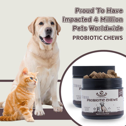 Best Buddy Dog Supplement Bundle – 15-in-1 Multivitamin Treats + Probiotic Chews | Joint, Skin, Coat & Digestive Health Support | Grain-Free Chicken Flavor, 225g Each