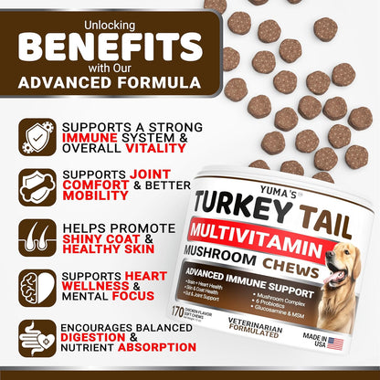 Turkey Tail Mushroom for Dogs - 170 Count - Mushroom Chews for Dogs Lipoma Lumps and Bumps - Immune, Digestive, Skin, Energy & Joint Health - Buddy Overall Health Guard - Dog Multivitamin Supplement