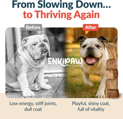 9-in-1 Senior Dog Supplement Multivitamin - Soft Dog Chews Treats for Joints, Energy, Digestion, Immunity | Probiotics, Colostrum, Omegas, Taurine – Duck Flavor - 120 Chewables