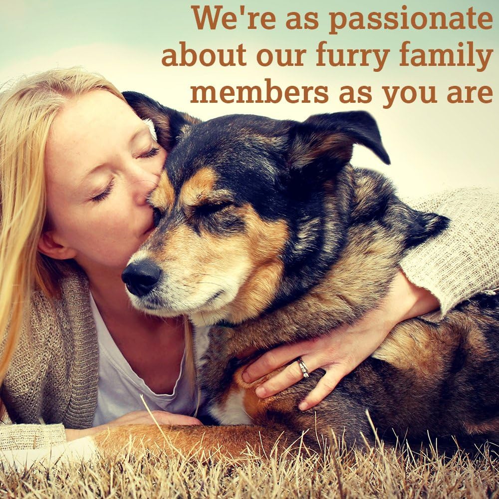 Caru - Soft ‘n Tasty Baked Bites - Salmon Bites Cat Treats - Flavorful All-Natural Treats - 3 oz. (Pack of 2)