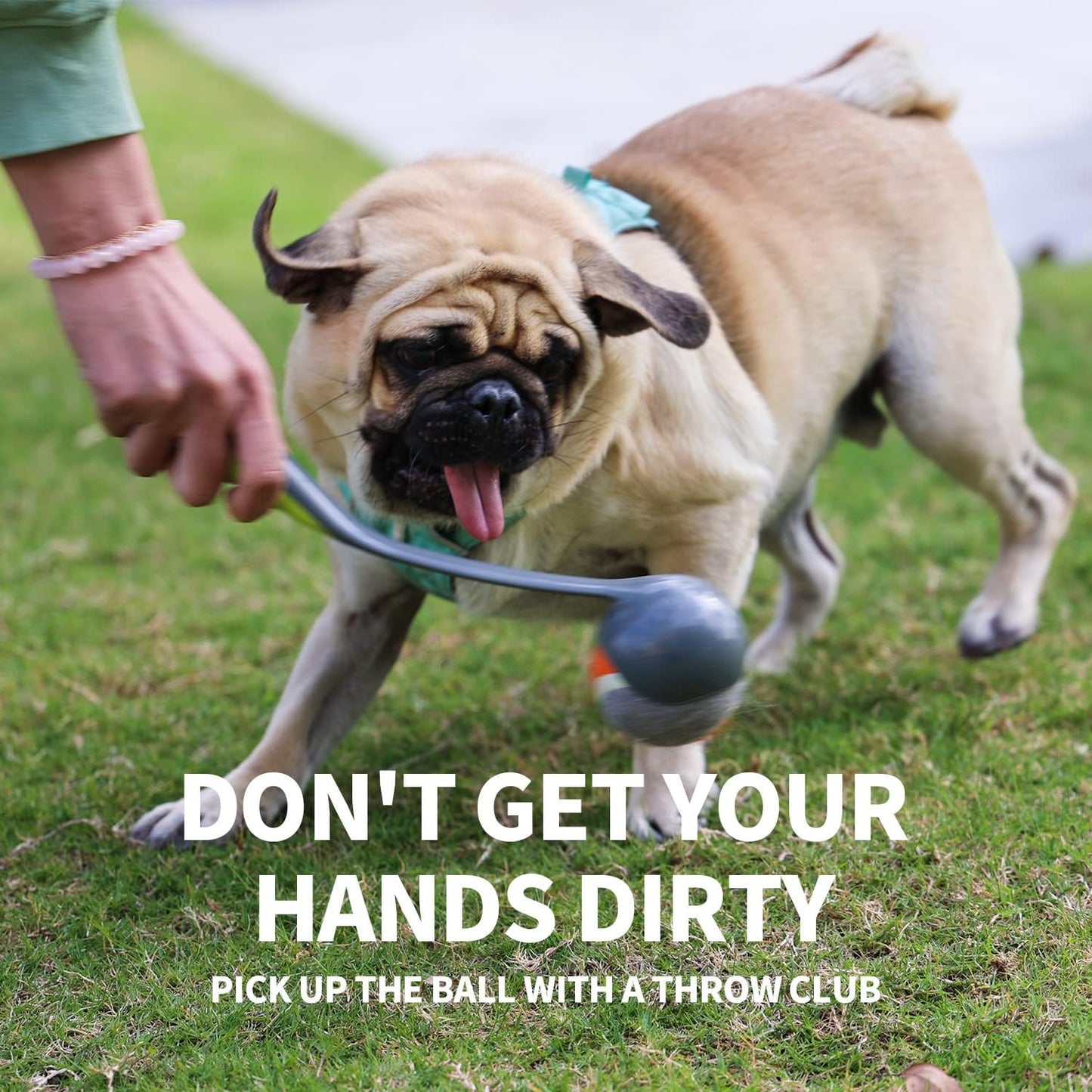 PAWISE Dog Ball Launcher for Small & Medium Dogs, 12.2" Dogs Fetch Toy with 2.3" Tennis Balll, Portable Dog Tennis Ball Thrower for Indoor & Outdoor Play, Lightweight, Durable & Hands-Free Pick-Up