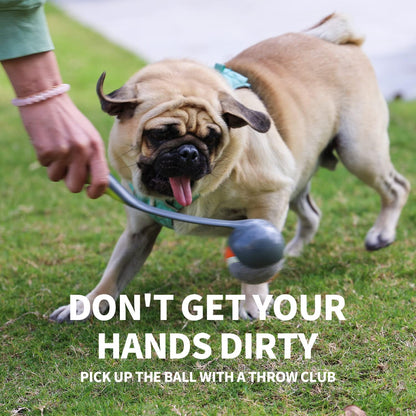 PAWISE Dog Ball Launcher for Small & Medium Dogs, 12.2" Dogs Fetch Toy with 2.3" Tennis Balll, Portable Dog Tennis Ball Thrower for Indoor & Outdoor Play, Lightweight, Durable & Hands-Free Pick-Up