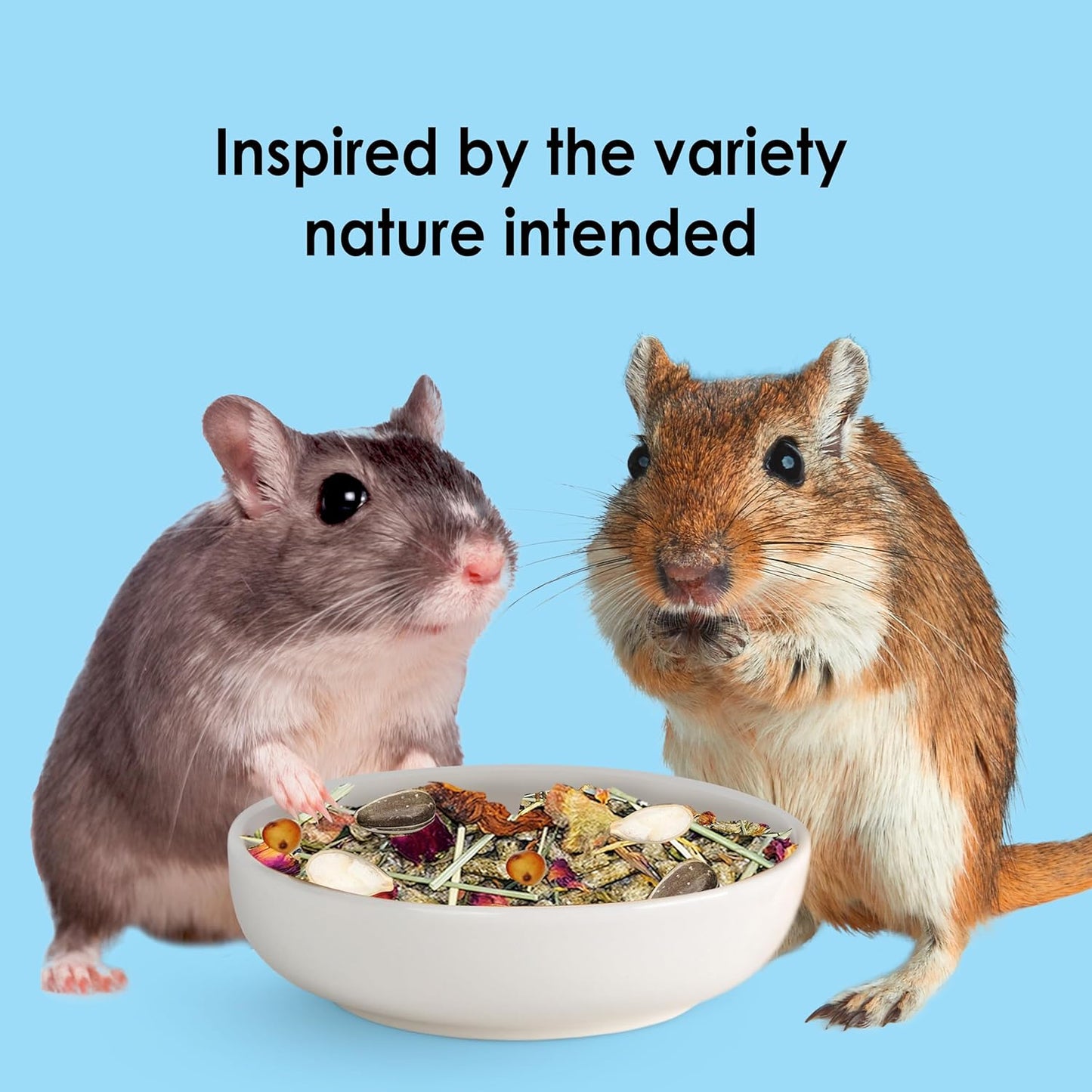 Kaytee Food from The Wild Natural Pet Hamster Food, 2 Pound