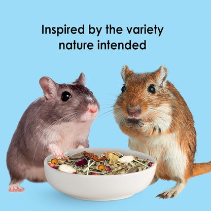 Kaytee Food from The Wild Natural Pet Hamster Food, 2 Pound