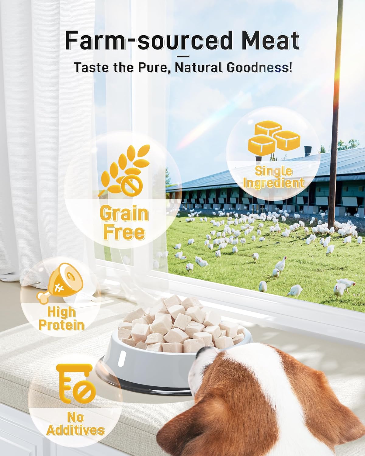 Freeze Dried Chicken Cats & Dogs Treats, 17.63 oz(1.1LB), High Protein Single Ingredient - No Additives | Grain Free | Training & Nutrition Supplements, Sealed Box